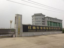 龍頭效應(yīng)驅(qū)動(dòng)下的技術(shù)開發(fā) 引領(lǐng)創(chuàng)新與產(chǎn)業(yè)變革