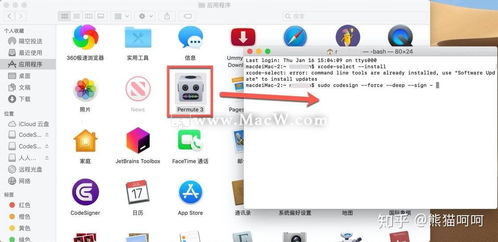 蘋果電腦軟件應(yīng)用意外退出與崩潰問題全面排查與解決指南